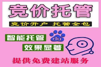 行业巨头的SEM优化之路：成功背后的秘密